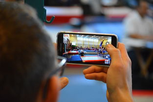 九游下载官网-中国篮球联赛市场细分与营销研究，篮球联赛介绍