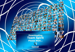 九游网-球迷盛典：现场氛围与体育精神的融合，球迷知识